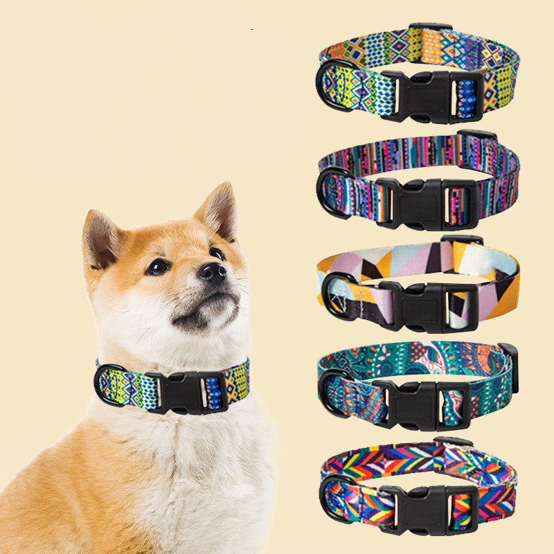 Collars, Leashes, and Harnesses