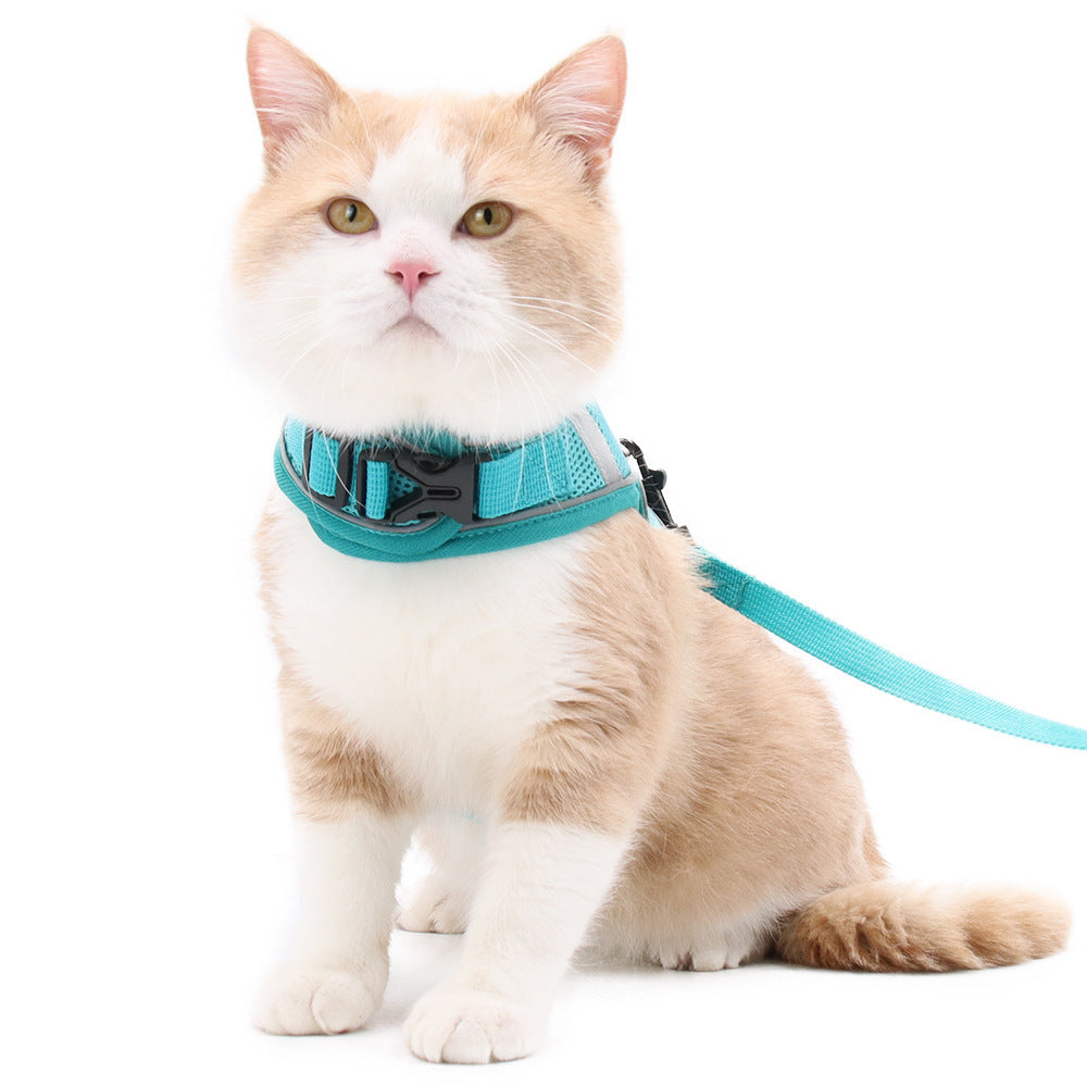 Pet Handling Mesh Leash