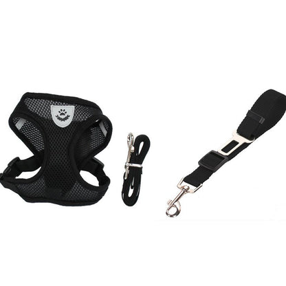 Pet Secure Leash