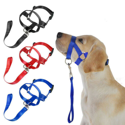 Dog rectification rushing leash cover