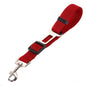 Pet Secure Leash