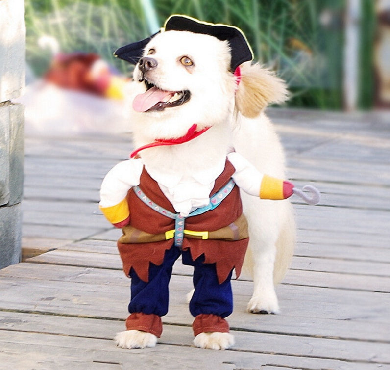 Pirate Dog Suit