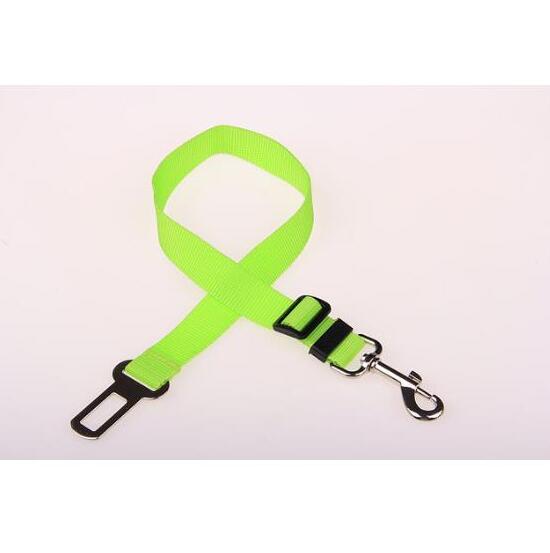 Pet Secure Leash