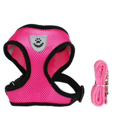 Pet Secure Leash