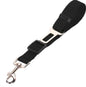 Pet Secure Leash