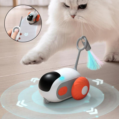 Remote Control Interactive Toy