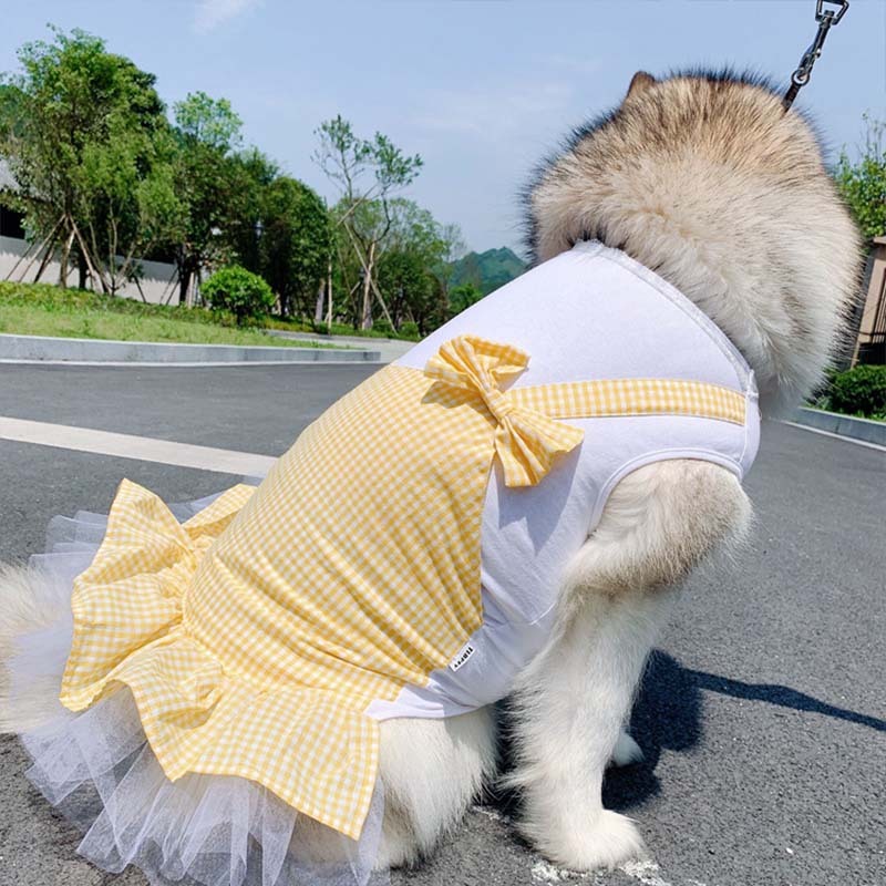 Large Dog Clothes