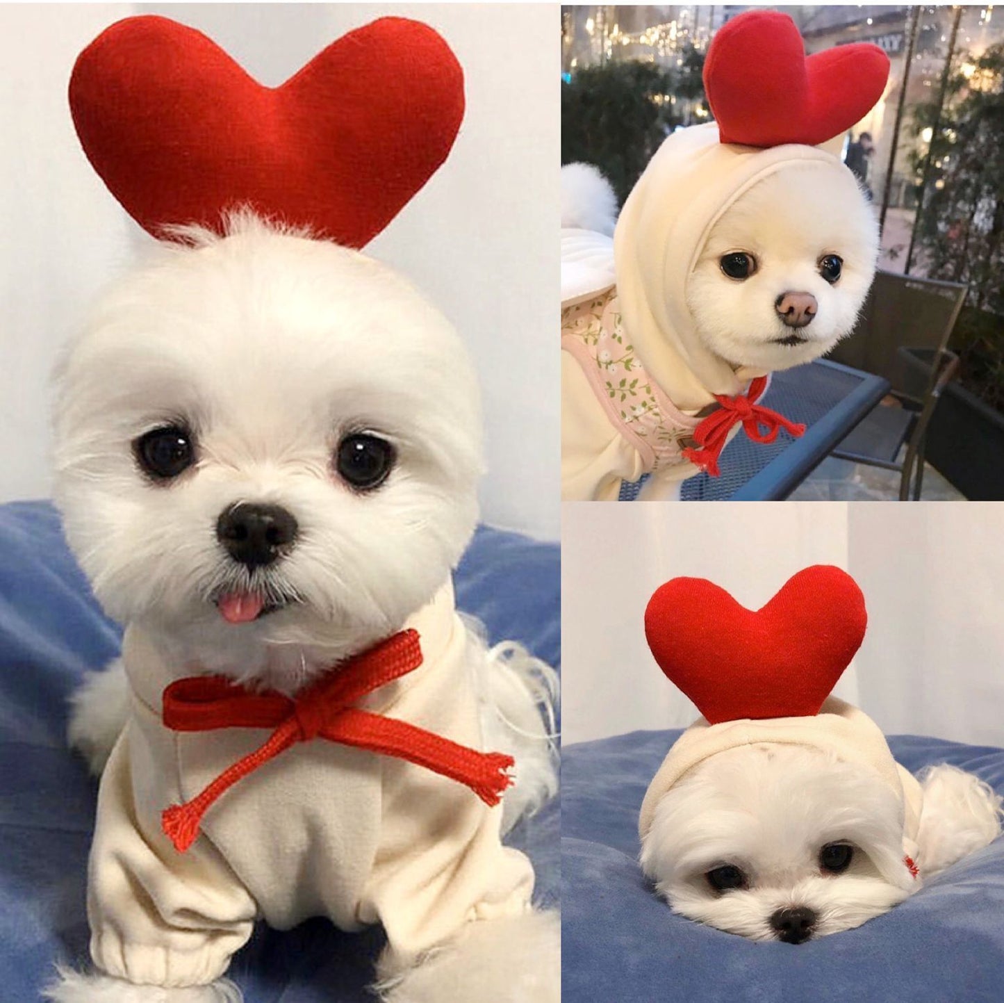 Cute Fruit Clothes For Small Dogs