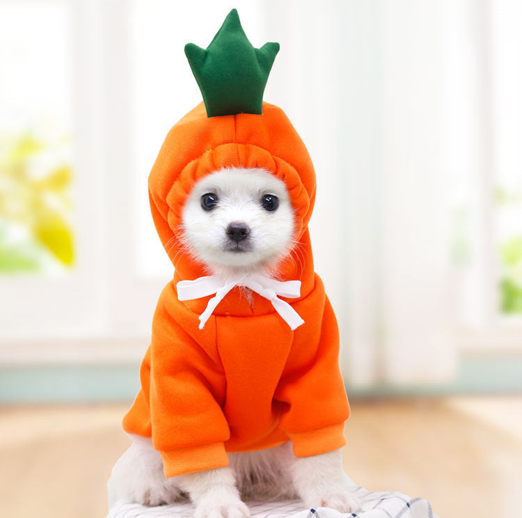 Cute Fruit Clothes For Small Dogs