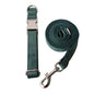 Green Velvet Dog Collar Leash