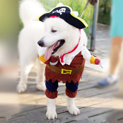 Pirate Dog Suit