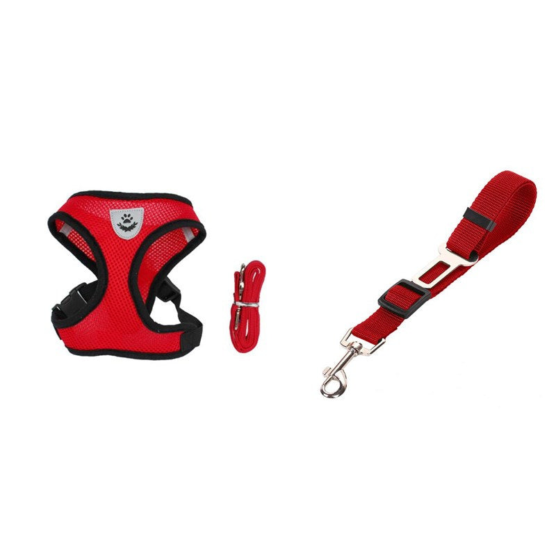 Pet Secure Leash