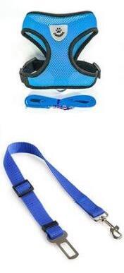 Pet Secure Leash