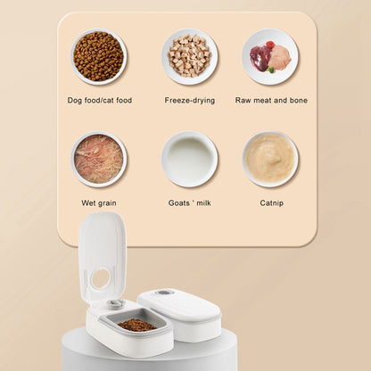 Automatic Pet Feeder Dispenser