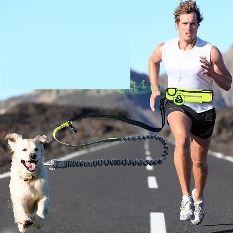 Hands-Free Dog Leash