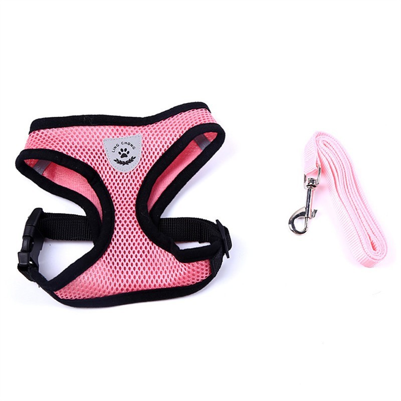 Pet Secure Leash