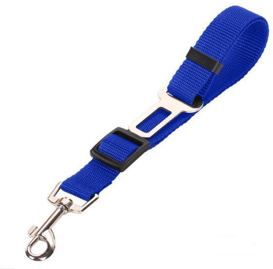 Pet Secure Leash