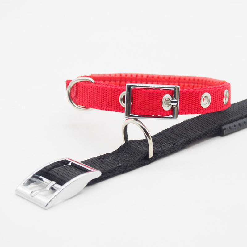 Dog Collar