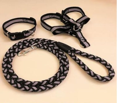 Dog leash