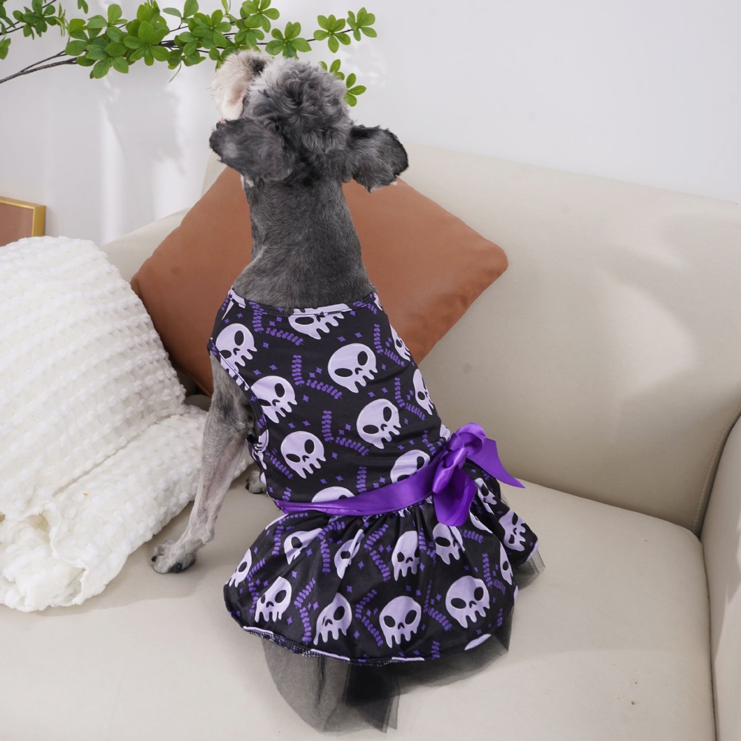 Pet Halloween Clothes Halloween