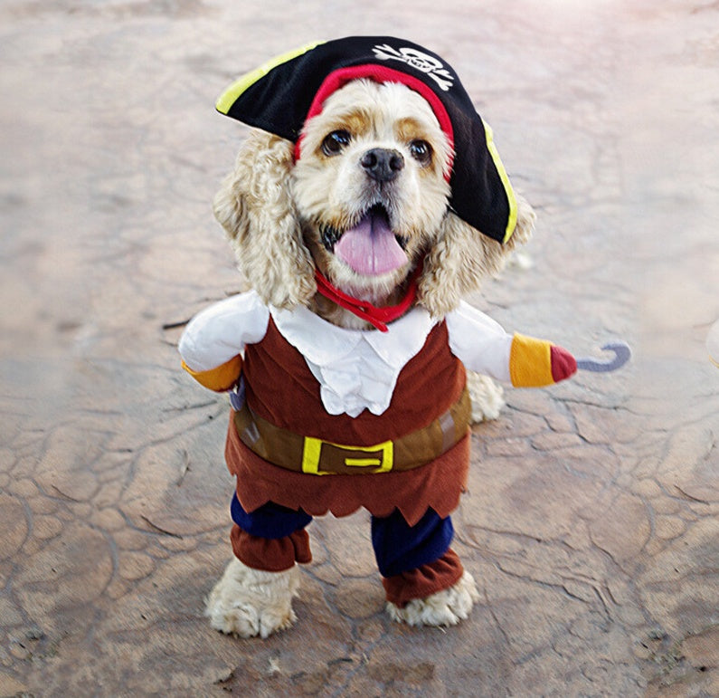 Pirate Dog Suit