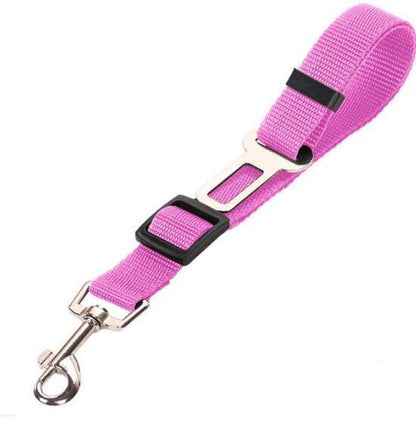 Pet Secure Leash