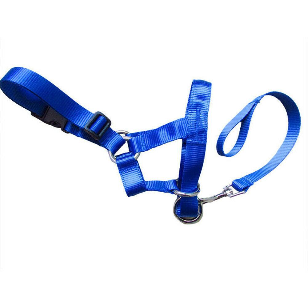 Dog rectification rushing leash cover