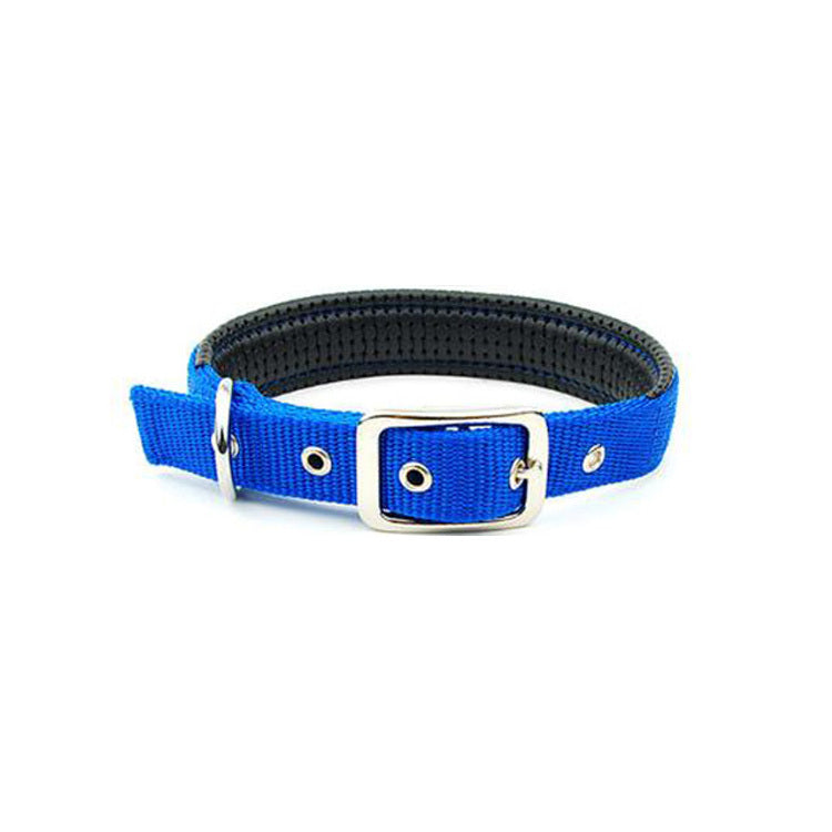 Dog Collar