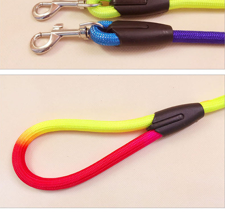 Colorful Nylon Round Leash