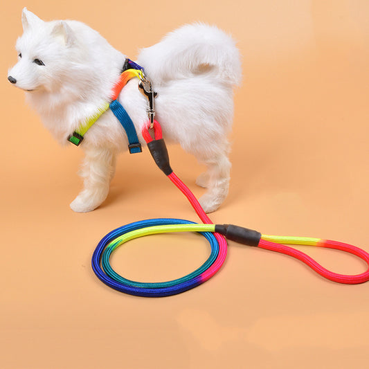 Colorful Nylon Round Leash