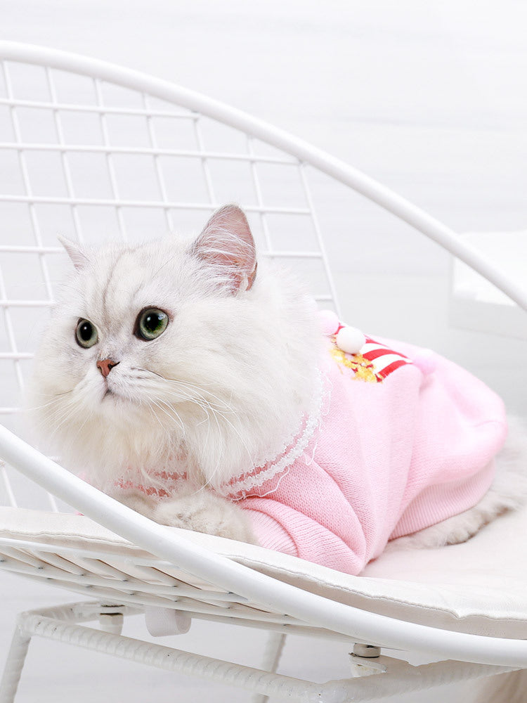 Cat casual clothes