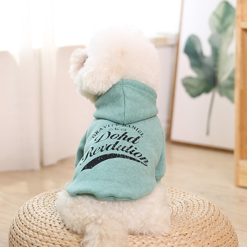 Dog Cotton Sweater