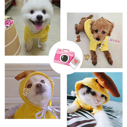 Cute Fruit Clothes For Small Dogs