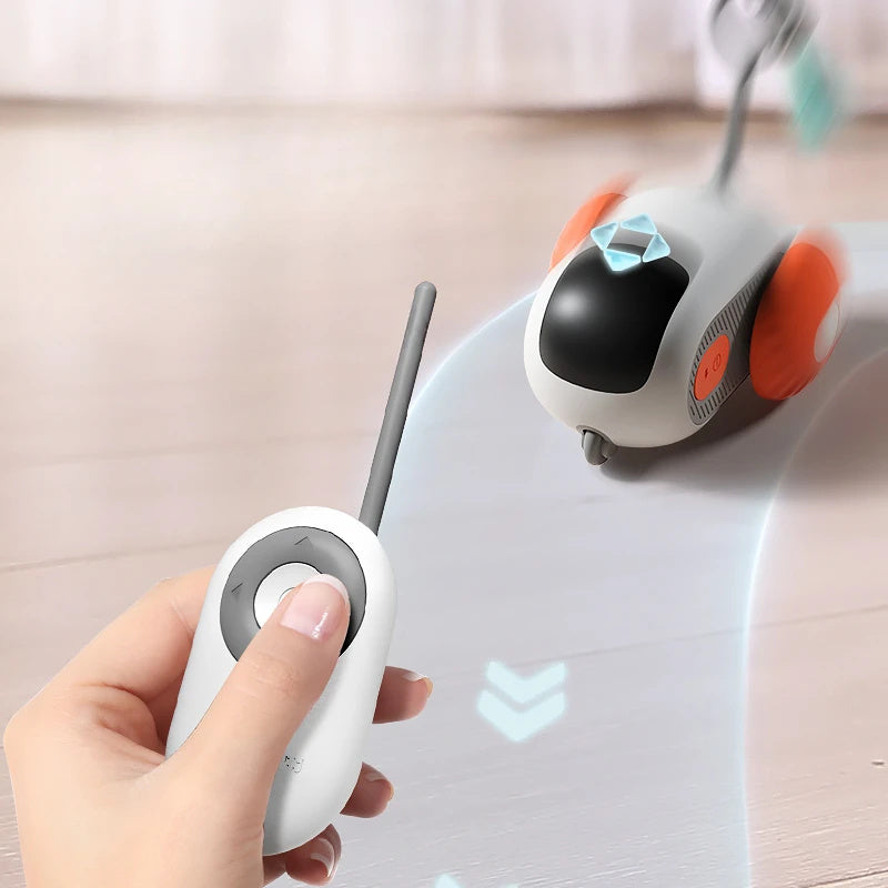 Remote Control Interactive Toy