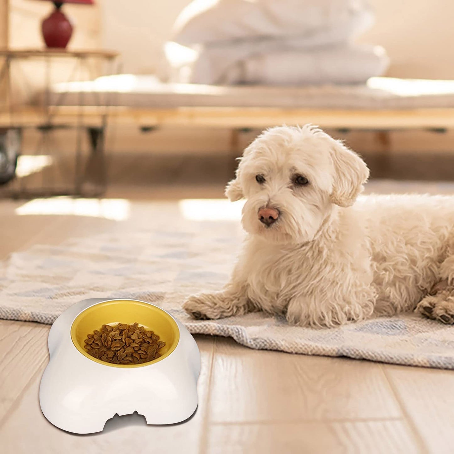 Egg-shaped Pet Bowl Drinking Water