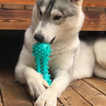 Pet Cleaning Chew Toys