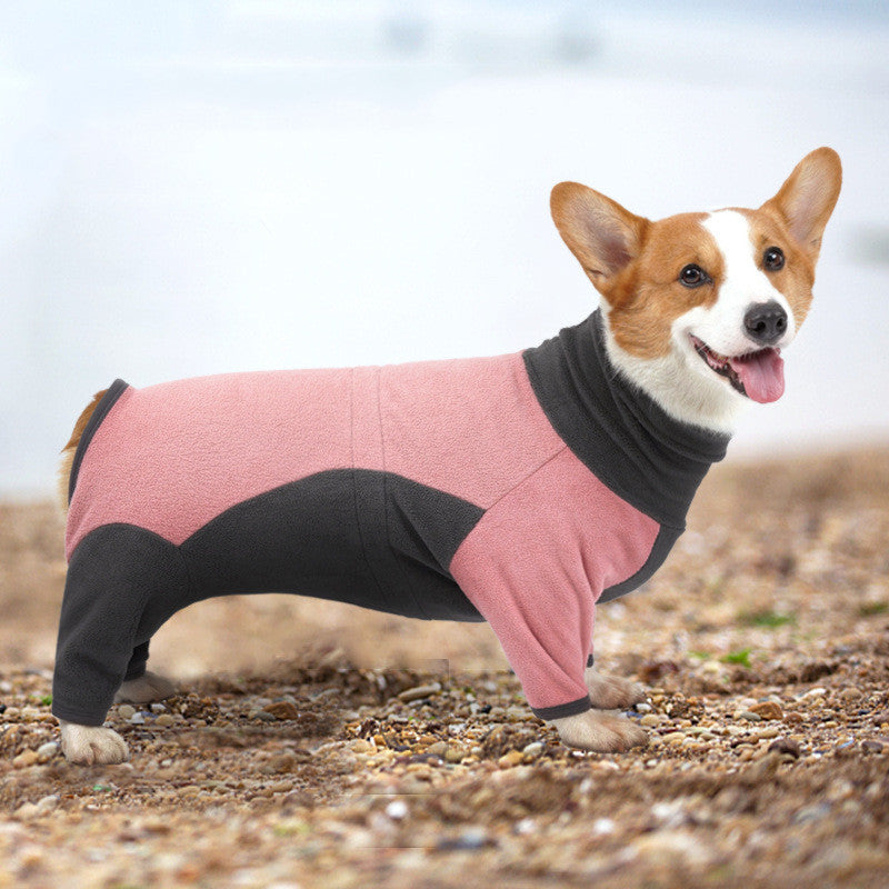 Winter & Warm Pet Clothes